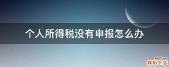 个人所得税没有申报怎么办