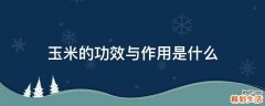 玉米的功效与作用是什么
