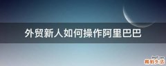 外贸新人如何操作阿里巴巴