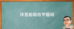 洋葱能吸收甲醛吗