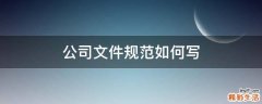 公司文件规范如何写