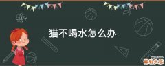 猫不喝水怎么办