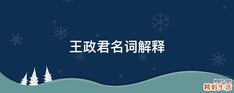 王政君名词解释