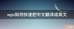 wps如何快速把中文翻译成英文