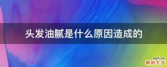 头发油腻是什么原因造成的