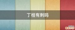 丁桂有刺吗