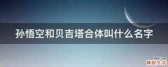 孙悟空和贝吉塔合体叫什么名字