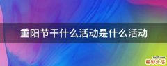 重阳节干什么活动是什么活动