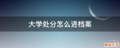 大学处分怎么进档案