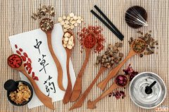 日本汉方药