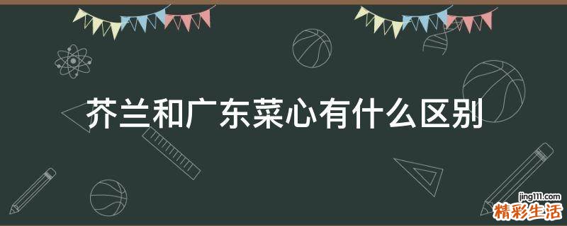 芥兰和广东菜心有什么区别