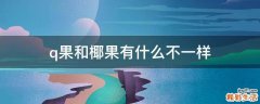 q果和椰果有什么不一样