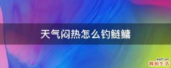 天气闷热怎么钓鲢鳙