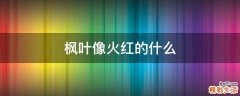枫叶像火红的什么