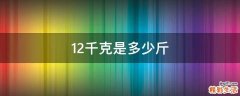 12千克是多少斤
