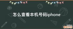 怎么查看本机号码iphone