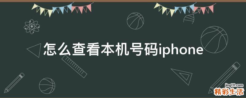 怎么查看本机号码iphone