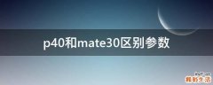 p40和mate30区别参数