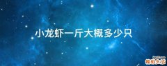 小龙虾一斤大概多少只