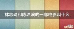 林志玲和陈坤演的一部电影叫什么