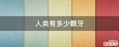 人类有多少颗牙