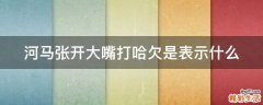 河马张开大嘴打哈欠是表示什么