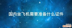 国内坐飞机需要准备什么证件