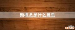 新概念是什么意思