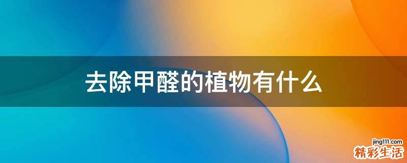 去除甲醛的植物有什么