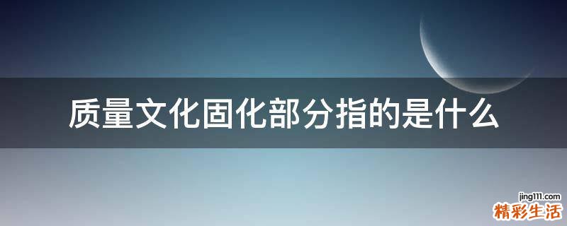 质量文化固化部分指的是什么