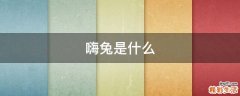 嗨兔是什么