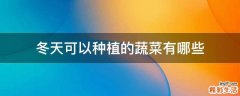 冬天可以种植的蔬菜有哪些