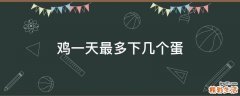 鸡一天最多下几个蛋