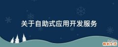 关于自助式应用开发服务