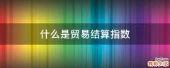 什么是贸易结算指数