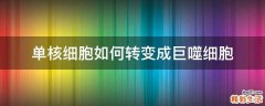 单核细胞如何转变成巨噬细胞