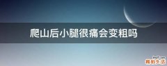 爬山后小腿很痛会变粗吗