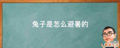 兔子是怎么避暑的