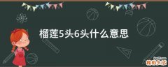 榴莲5头6头什么意思