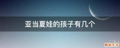 亚当夏娃的孩子有几个