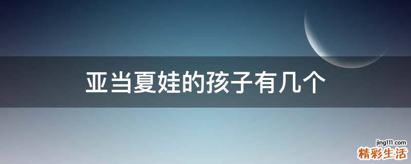 亚当夏娃的孩子有几个