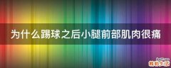 为什么踢球之后小腿前部肌肉很痛
