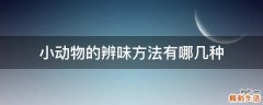 小动物的辨味方法有哪几种