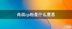 肖战cp粉是什么意思