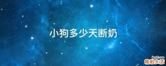 小狗多少天断奶