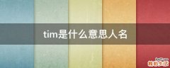tim是什么意思人名