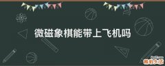 微磁象棋能带上飞机吗