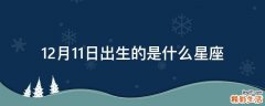 12月11日出生的是什么星座