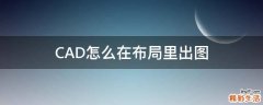 CAD怎么在布局里出图