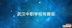 武汉中职学校有哪些